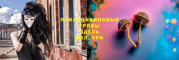 герыч Арсеньев