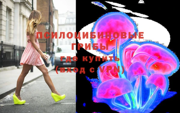 герыч Арсеньев